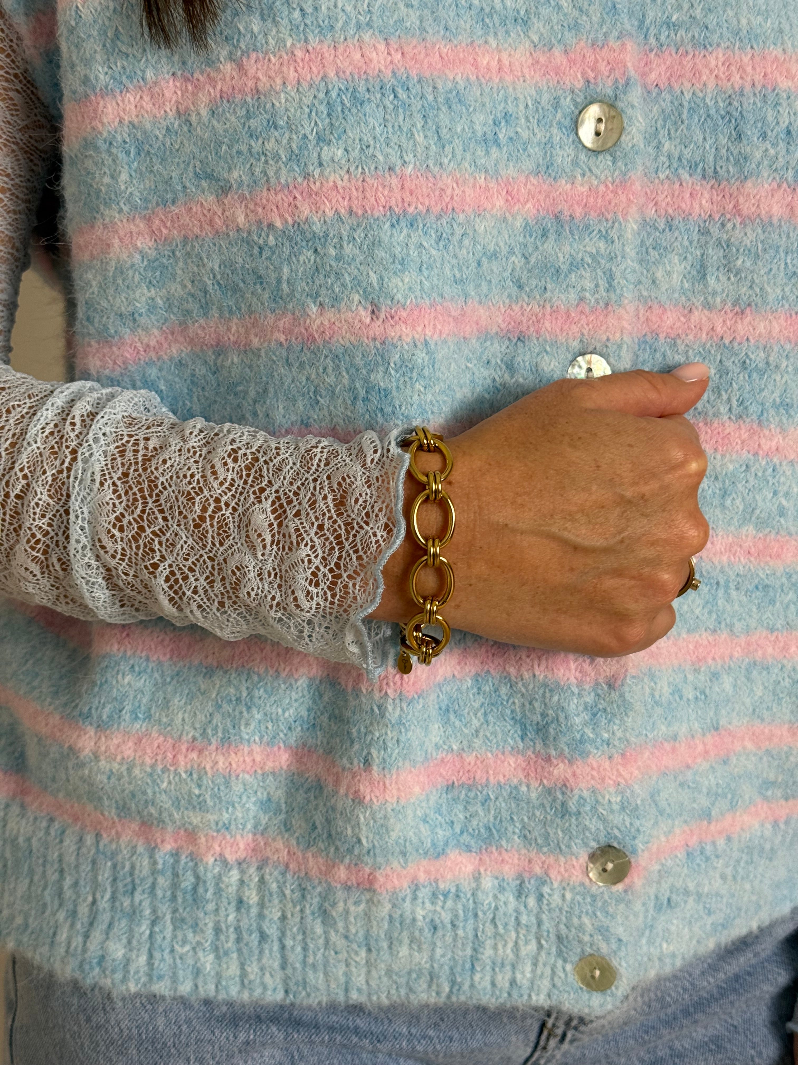 Blauw/roze gestreepte gilet en longsleeve - My Dressing