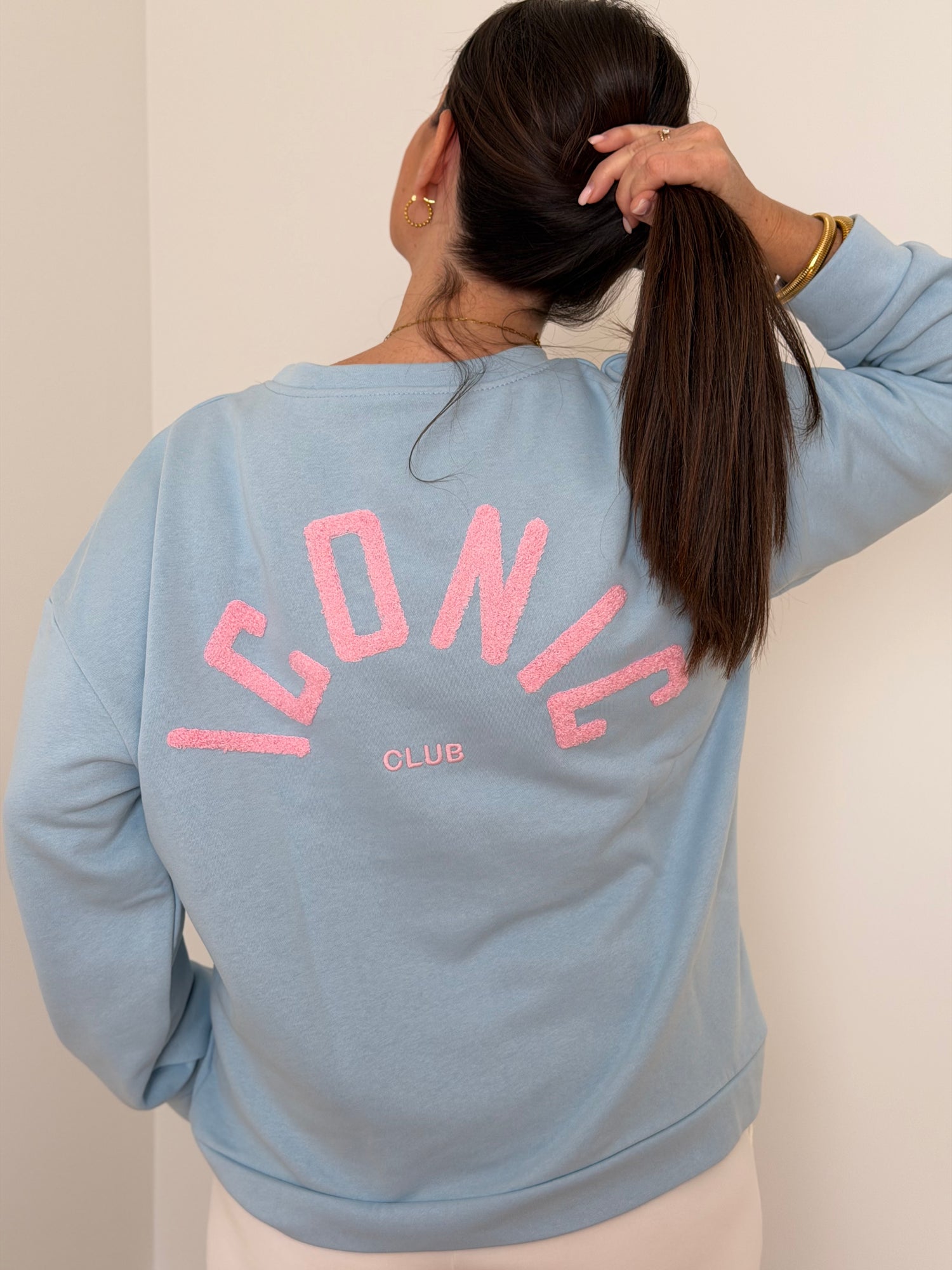 achterkant Iconic sweater - My Dressing