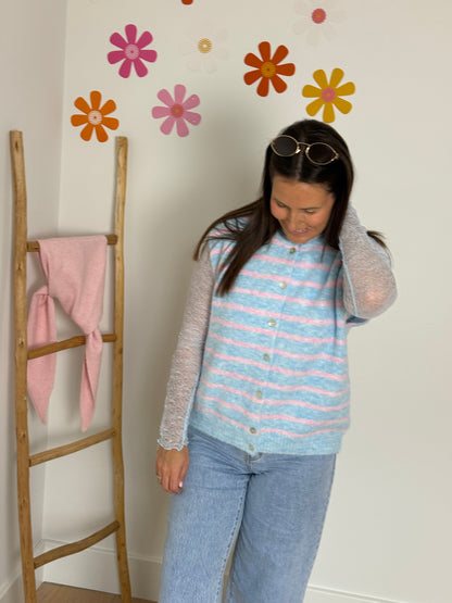 Blauw/roze gestreepte gilet en longsleeve - My Dressing